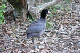 P1070573_edited
