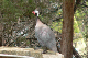 P1070715_edited