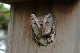 P1090642_edited