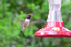 P1090677_edited