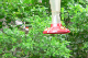 P1090713_edited