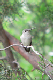 P1090733_edited
