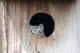 P1100148_edited