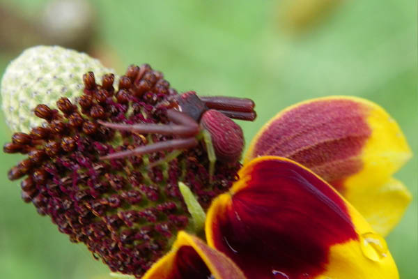 100_0391_edited-1