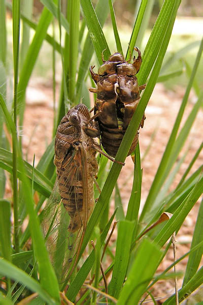 B0001646_edited