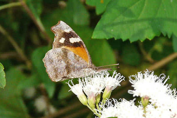 P1060506_edited