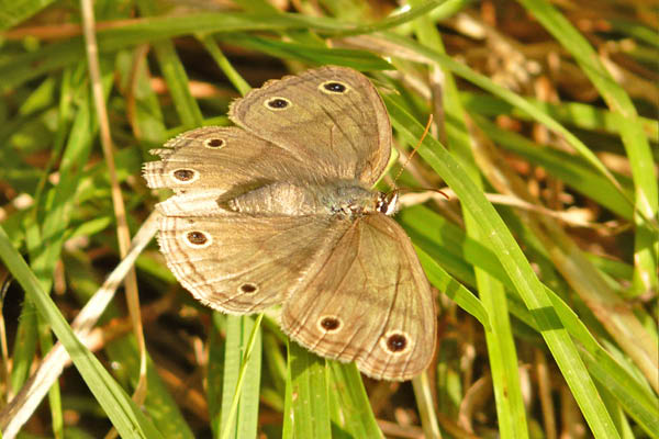 P1080167_edited