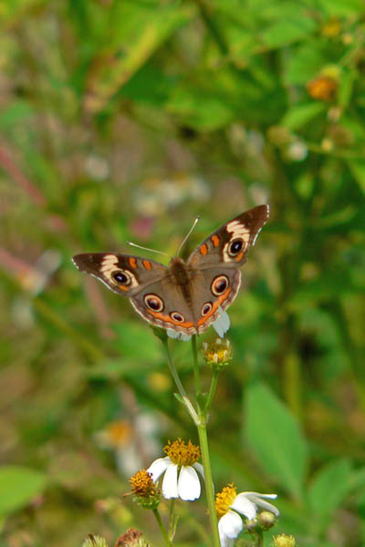 P1080605_edited