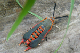 100_0104_edited-2