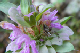 100_0218_edited-1