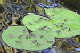 100_0229_edited-1