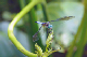 100_0252_edited-1