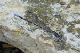 100_0314_edited-2