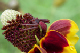 100_0391_edited-1