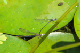100_0499_edited-1