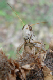 100_0842_edited-2