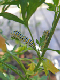 100_0924_edited-1