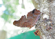 100_1418_edited-1