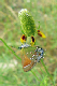 109_0022_edited-1