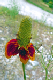 109_0027_edited-2