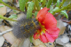 109_0097-copy