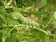 B0001343