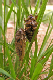 B0001646_edited