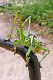 B0001656_edited