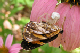 B0001660_edited