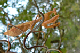 P1050266_edited