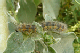 P1060209_edited