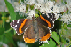 P1060441_edited