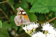 P1060506_edited