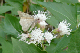 P1060511_edited