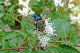 P1060514_edited