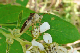 P1060533_edited