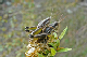 P1060556_edited