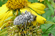 P1060559_edited