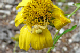 P1060571_edited