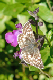 P1060585_edited