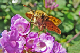 P1060591_edited_edited-1