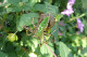 P1060618_edited