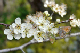P1070057_edited