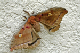 P1070303_edited