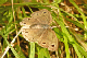 P1080167_edited