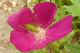 P1080350_edited