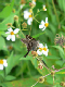 P1080604_edited