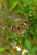 P1080605_edited