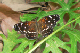 P1100078_edited