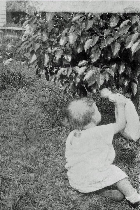 Image2-2_edited-1